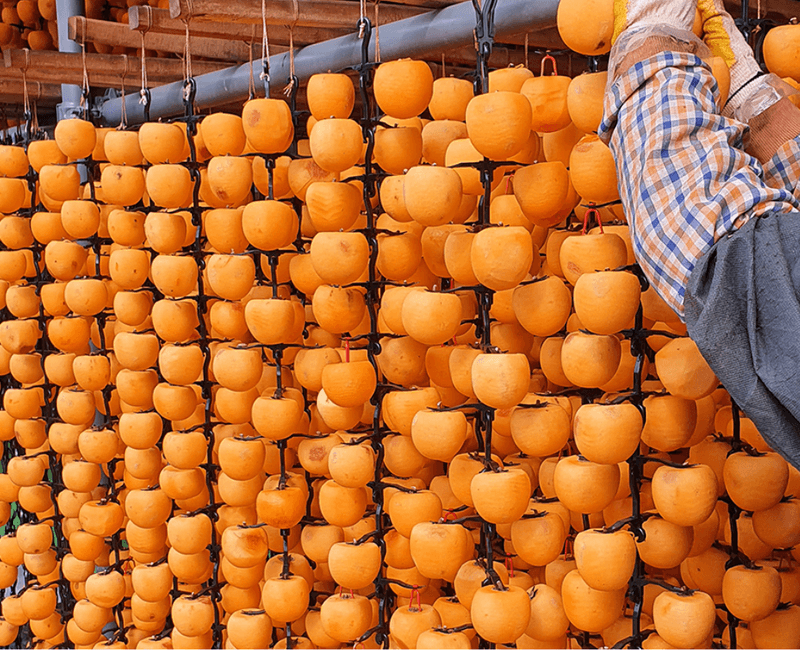 스피드번님의 장터 판매 상품 [가정용 반건시 상주곶감] 첨부 사진