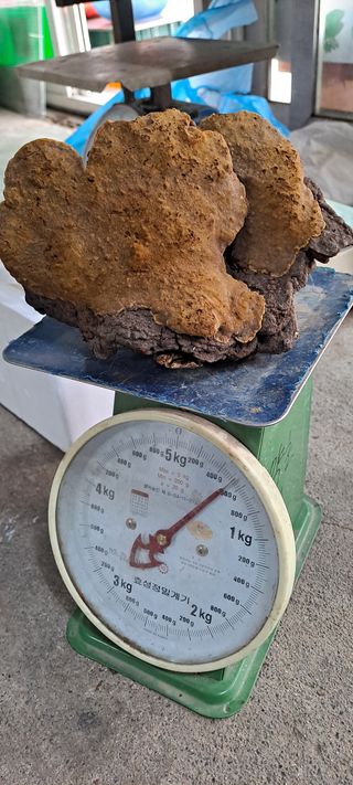 백순분님의 작성글 사진