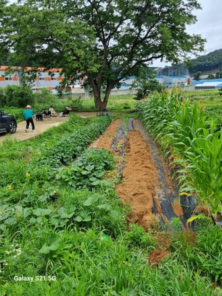 권오정님의 자유주제 · 자유게시판 작성글 사진