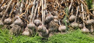 구춘봉님의 작성글 사진