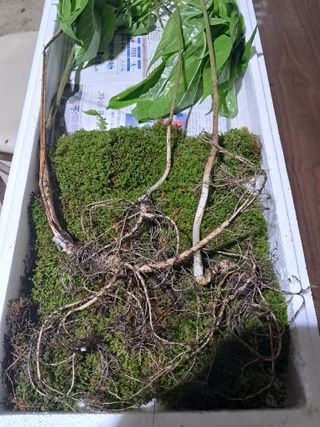 윤성진님의 작성글 사진