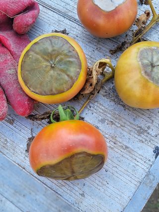 조상희님의 자유주제 · 자유게시판 작성글 사진