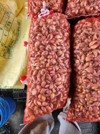 갑돌이님의 작성글 사진