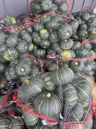 김형권님의 작성글 사진