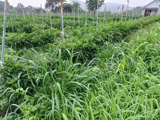 이정민님의 자유주제 · 자유게시판 작성글 사진