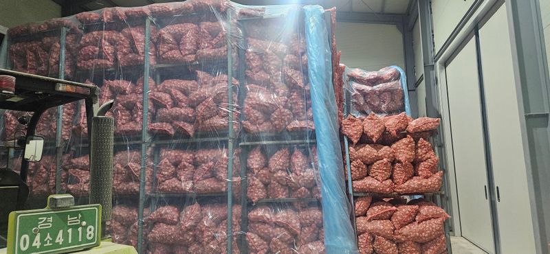 장터 상품 [대서 우량종구] 썸네일