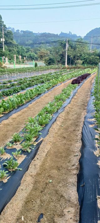 김두현님의 자유주제 · 자유게시판 작성글 사진