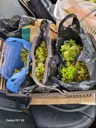 권오정님의 자유주제 · 자유게시판 작성글 사진