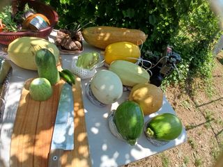 산성골농장님의 자유주제 · 자유게시판 작성글 사진