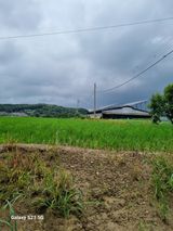 팜모닝 자유주제·자유게시판 게시글 이미지