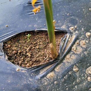 이창화님의 자유주제 · 자유게시판 작성글 사진