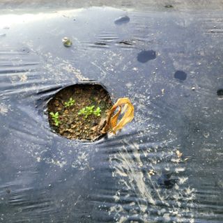 이창화님의 자유주제 · 자유게시판 작성글 사진