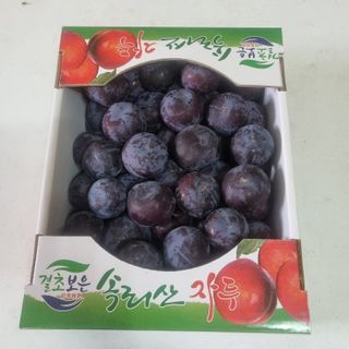 황대규님의 작성글 사진