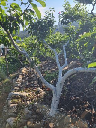 김용대님의 자유주제 · 자유게시판 작성글 사진