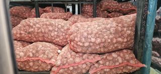 구춘봉님의 작성글 사진