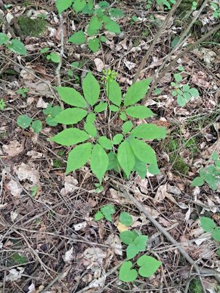 윤성진님의 작성글 사진