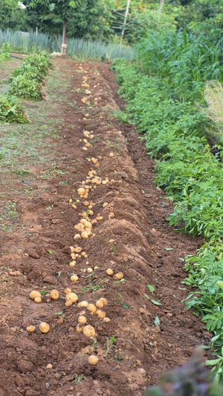 무심63님의 자유주제 · 자유게시판 작성글 사진