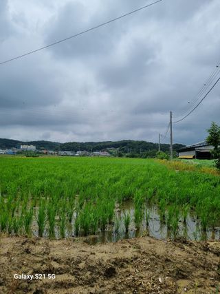 권오정님의 자유주제 · 자유게시판 작성글 사진