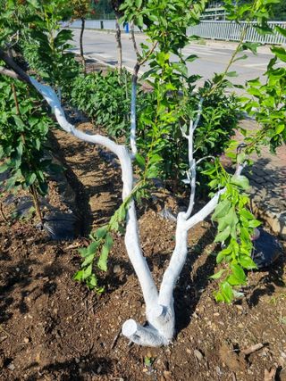 김용대님의 자유주제 · 자유게시판 작성글 사진