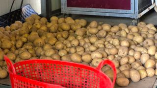 무심63님의 자유주제 · 자유게시판 작성글 사진