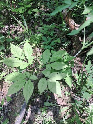 윤성진님의 작성글 사진