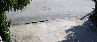 양평동물농장님의 자유주제 · 자유게시판 작성글 사진