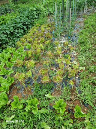 권오정님의 자유주제 · 자유게시판 작성글 사진