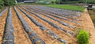 이종록님의 자유주제 · 자유게시판 작성글 사진