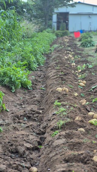 무심63님의 자유주제 · 자유게시판 작성글 사진