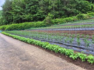 이금범님의 작성글 사진