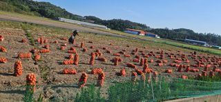 구춘봉님의 작성글 사진