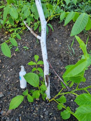 김용대님의 자유주제 · 자유게시판 작성글 사진