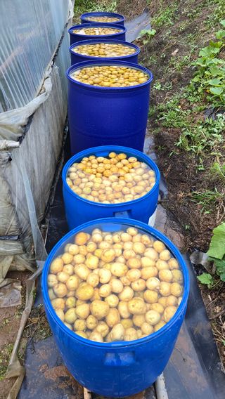 황규복(달구지)님의 자유주제 · 자유게시판 작성글 사진