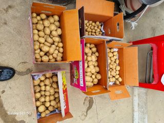 권오정님의 자유주제 · 자유게시판 작성글 사진