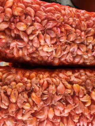 갑돌이님의 작성글 사진