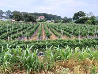 이정민님의 자유주제 · 자유게시판 작성글 사진