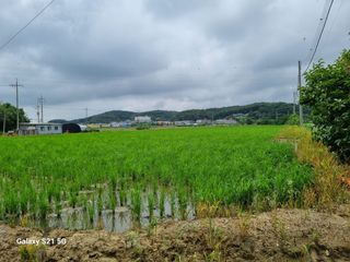 권오정님의 자유주제 · 자유게시판 작성글 사진