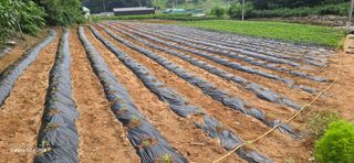 이종록님의 자유주제 · 자유게시판 작성글 사진