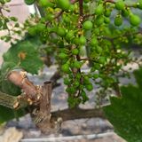 팜모닝 자유주제·자유게시판 게시글 이미지