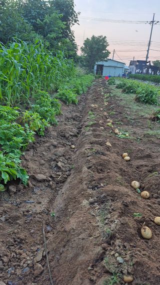 무심63님의 자유주제 · 자유게시판 작성글 사진