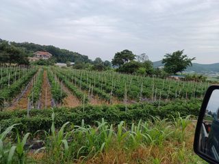 이정민님의 자유주제 · 자유게시판 작성글 사진