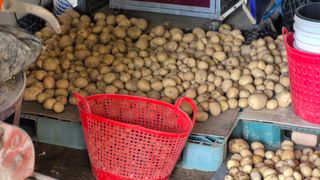 무심63님의 자유주제 · 자유게시판 작성글 사진