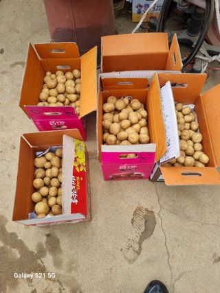 권오정님의 자유주제 · 자유게시판 작성글 사진