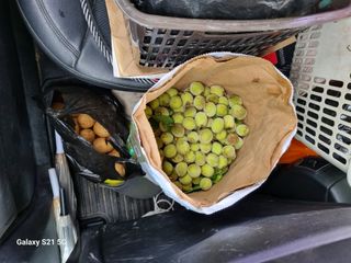 권오정님의 자유주제 · 자유게시판 작성글 사진