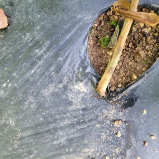 이창화님의 자유주제 · 자유게시판 작성글 사진