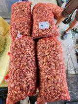 팜모닝 · 게시글 이미지