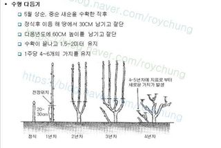 알 수 없음님의 자유주제 · 자유게시판 작성글 사진