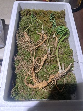 윤성진님의 작성글 사진