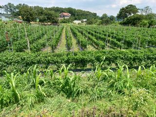 이정민님의 자유주제 · 자유게시판 작성글 사진