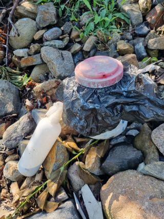 김용대님의 자유주제 · 자유게시판 작성글 사진